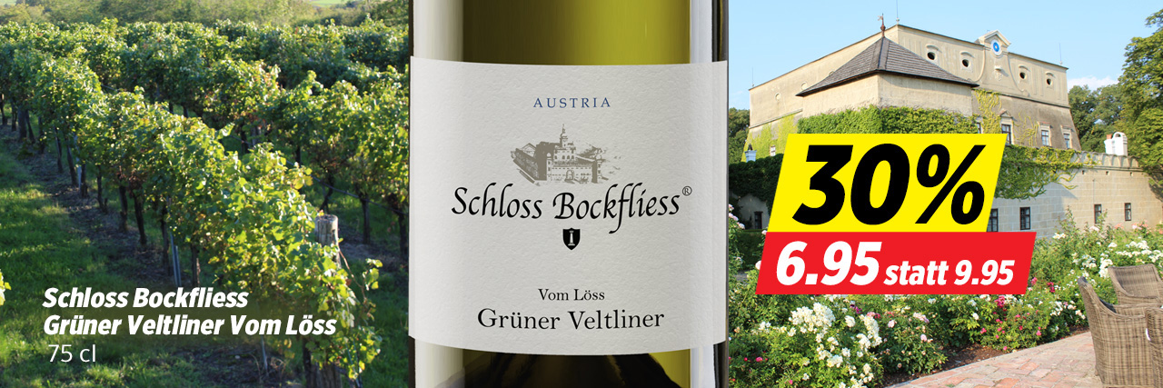Schloss Bockfliess